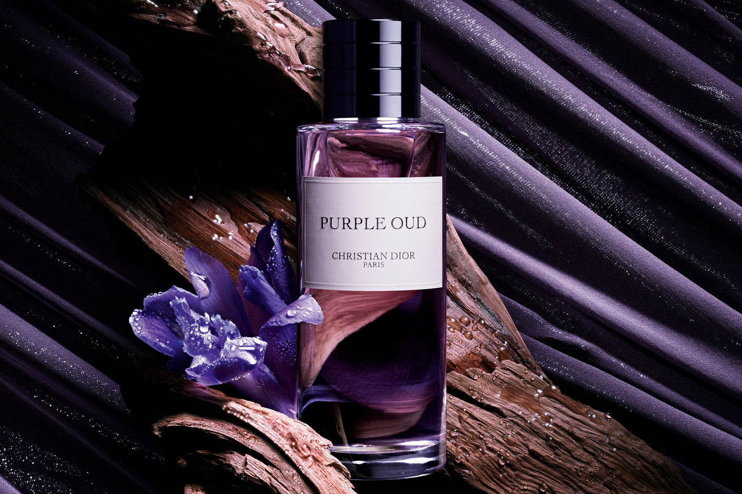 Purple Oud