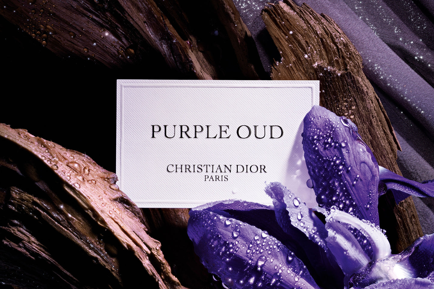 Purple Oud