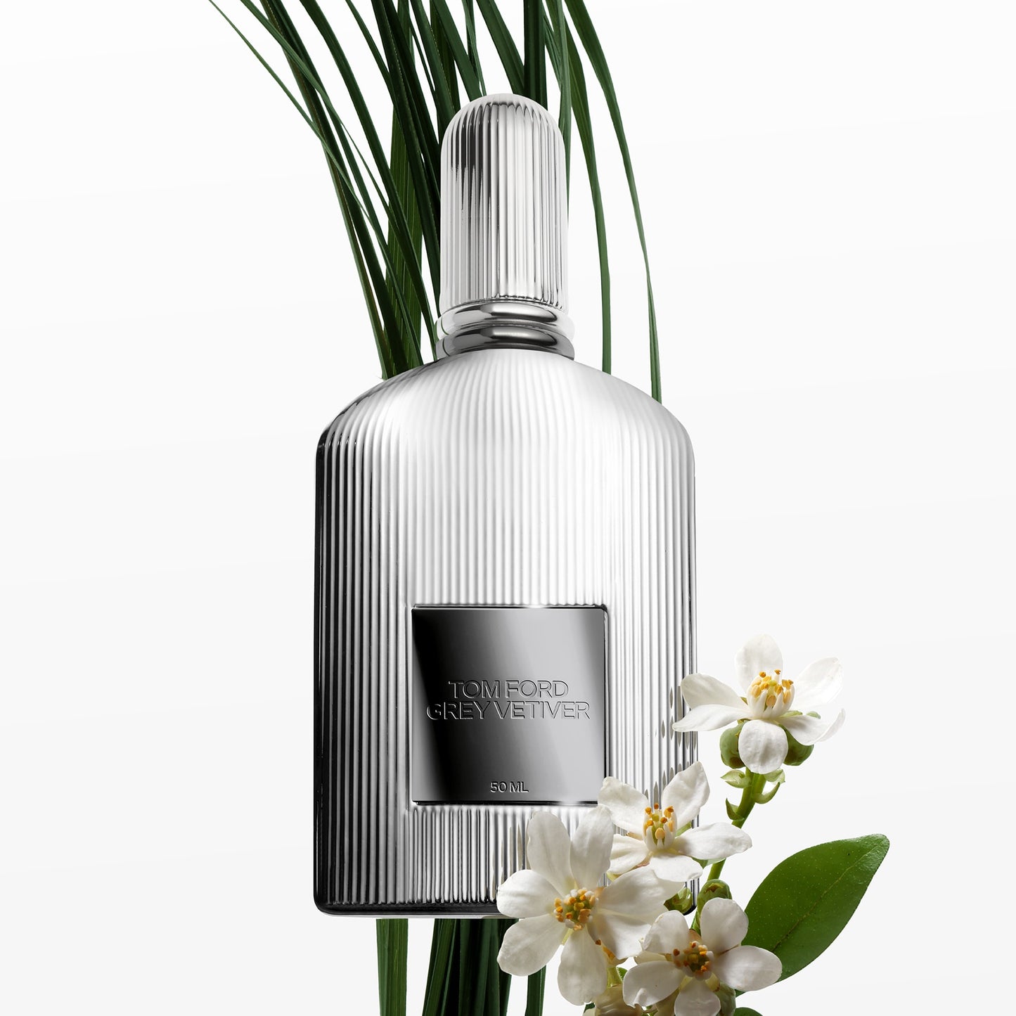 Grey Vetiver