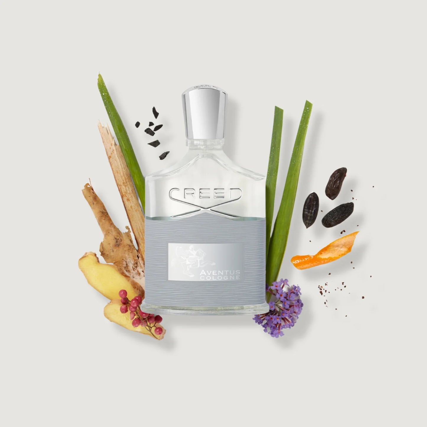 Aventus Cologne